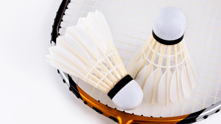 Zwei Federbälle liegen auf einem Badmintonschläger mit einem orangefarbenen Rahmen und schwarz-weißen Details.